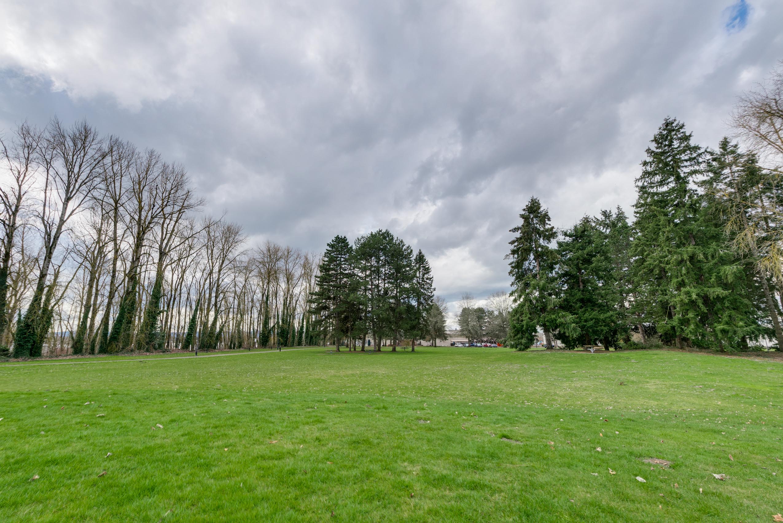Stacks Image 621